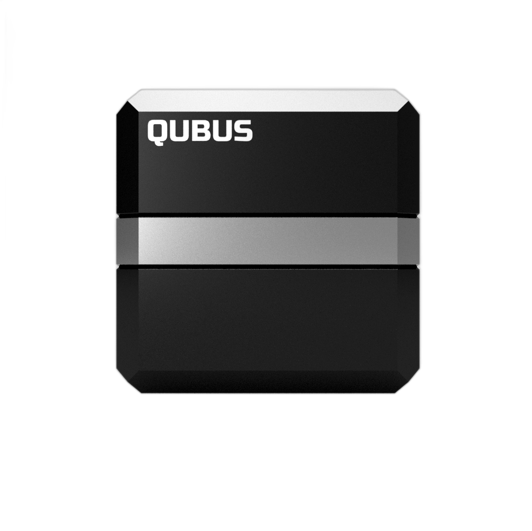 Deep Silver QUBUS